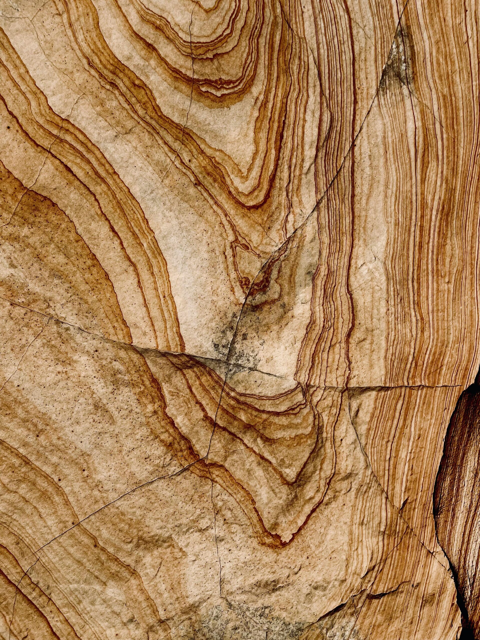 Calcular Presupuesto